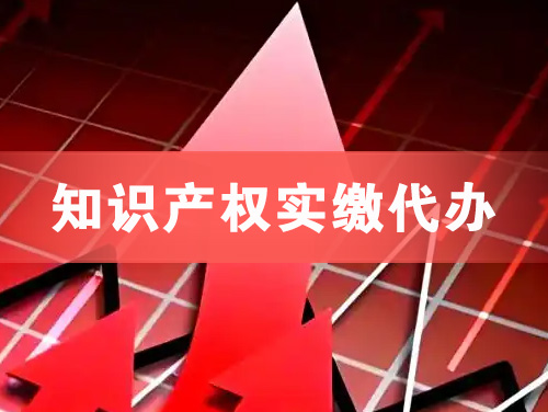 兴义知识产权实缴资本代办